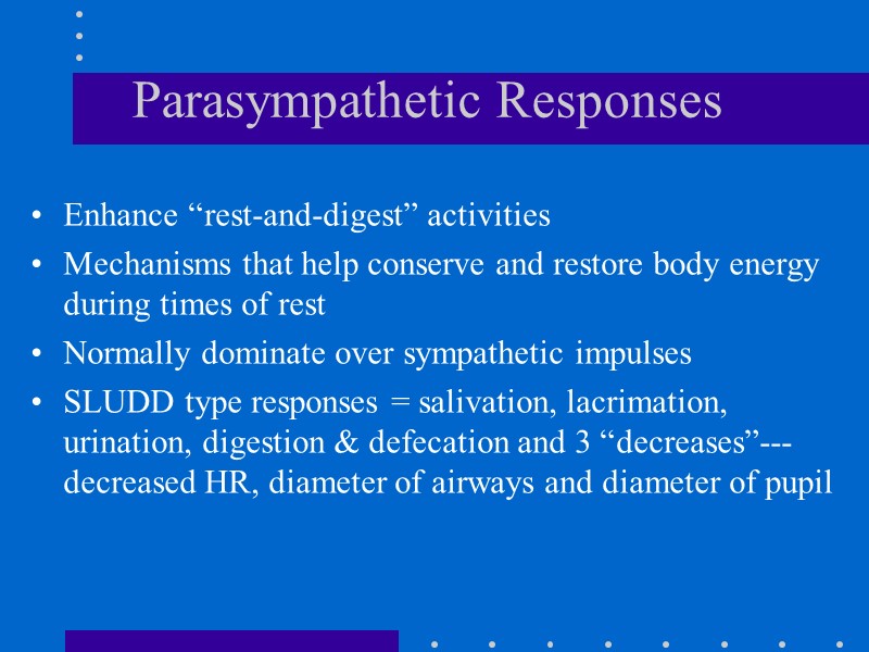 Parasympathetic Responses Enhance “rest-and-digest” activities Mechanisms that help conserve and restore body energy during
